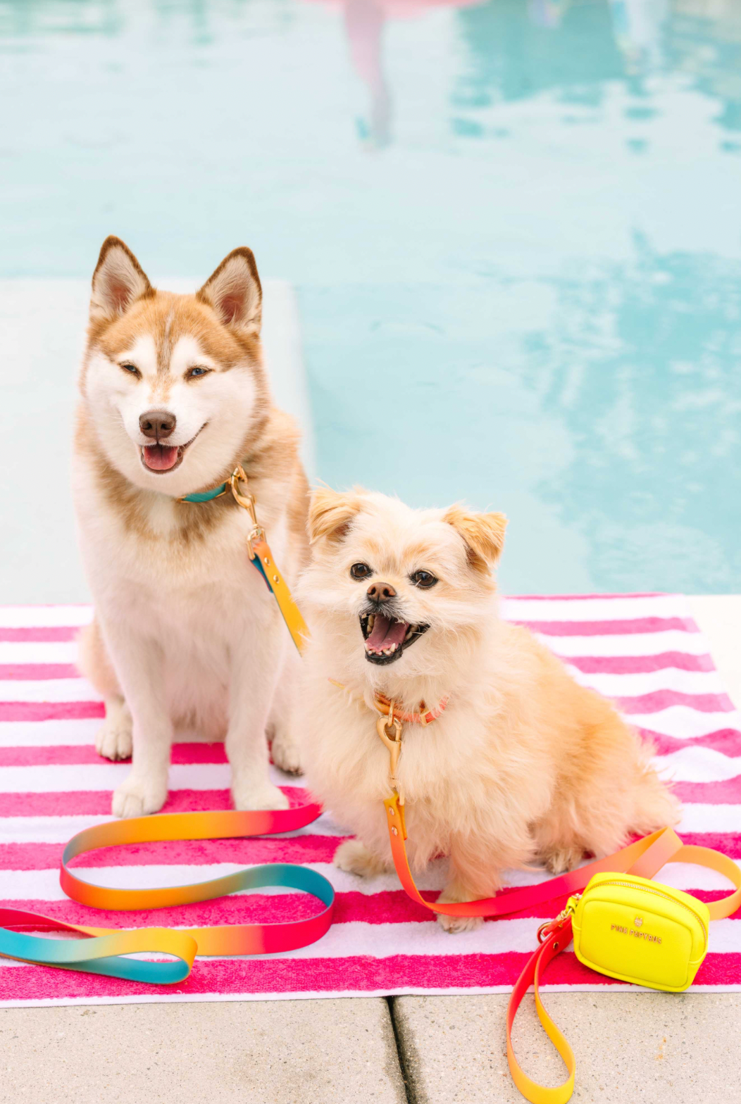 Kiki Neon Yellow Waste Bag Dispenser And Treat Pouch