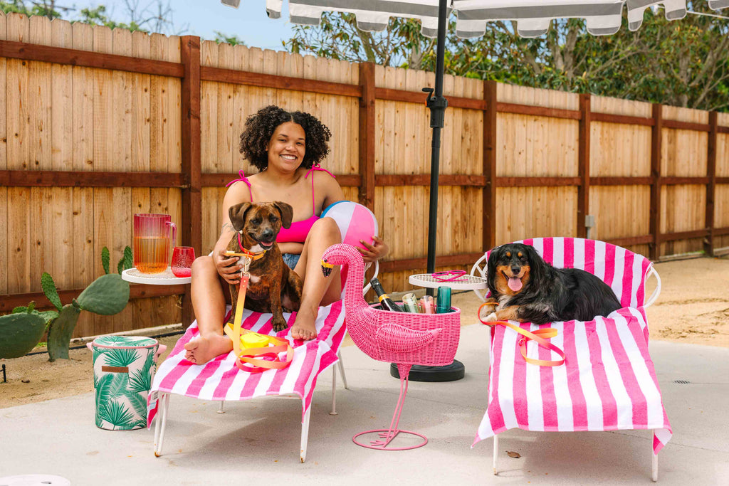 Katelin All Weather Waterproof Dog Leash | Easy Clean Leash