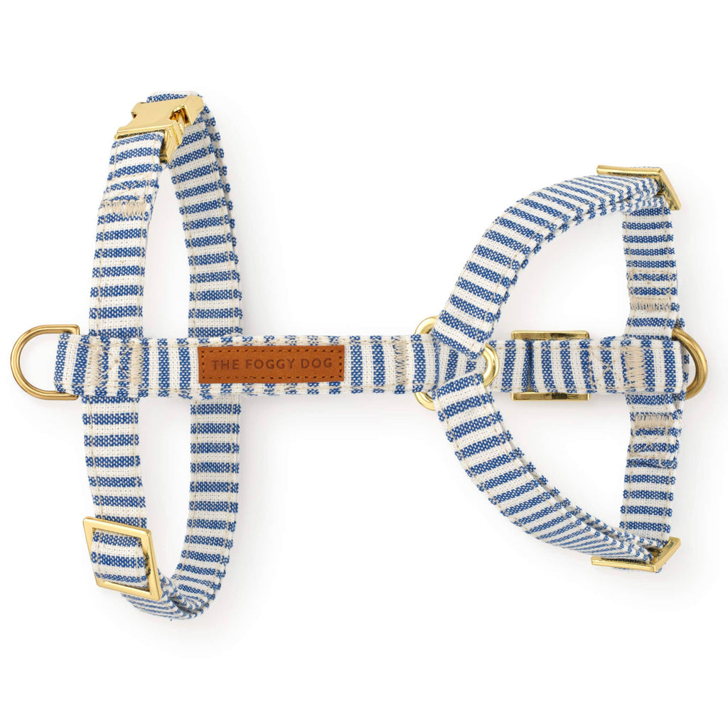 Lake Blue Stripe Harness