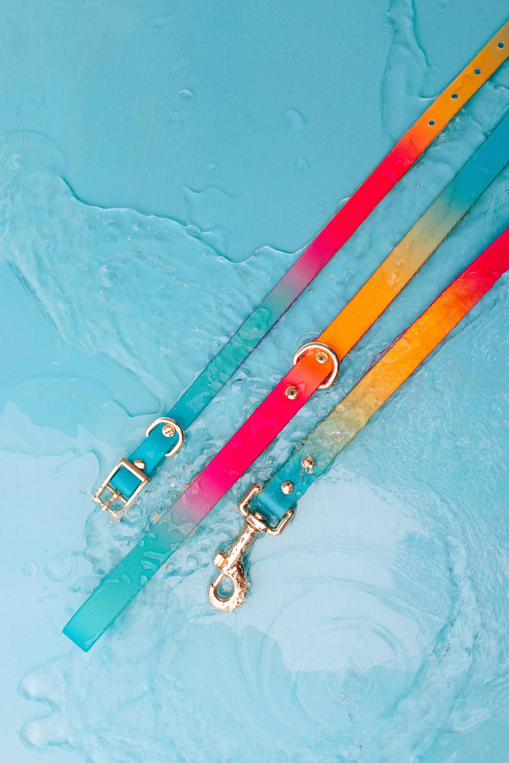 Pippa Waterproof Dog Collar | Swim Dog Collar