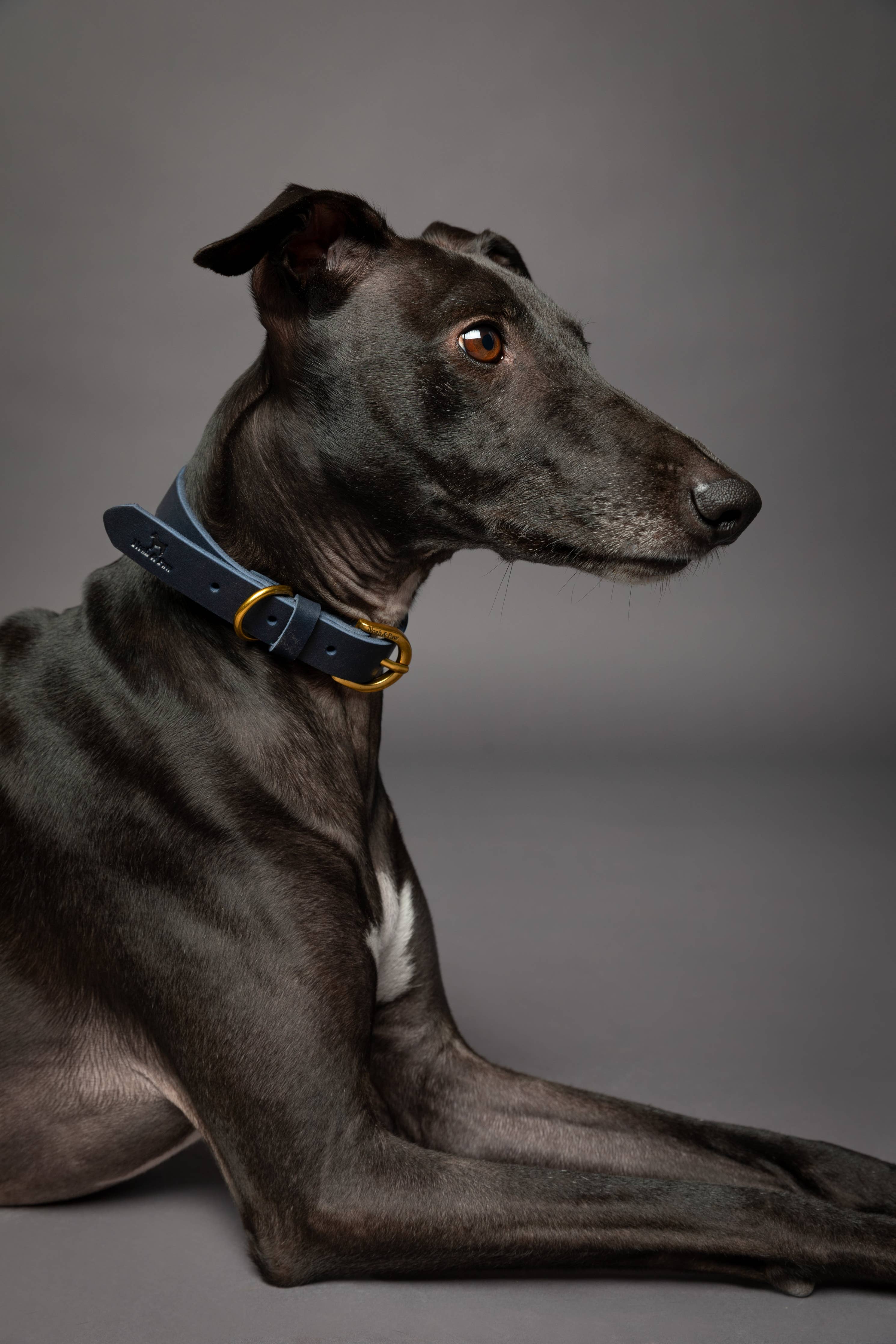 NOAH & PAW Dog Collar, Genuine Leather with Oil-Wax Finish, Heavy Duty Metal Buckle, 4 Color Options