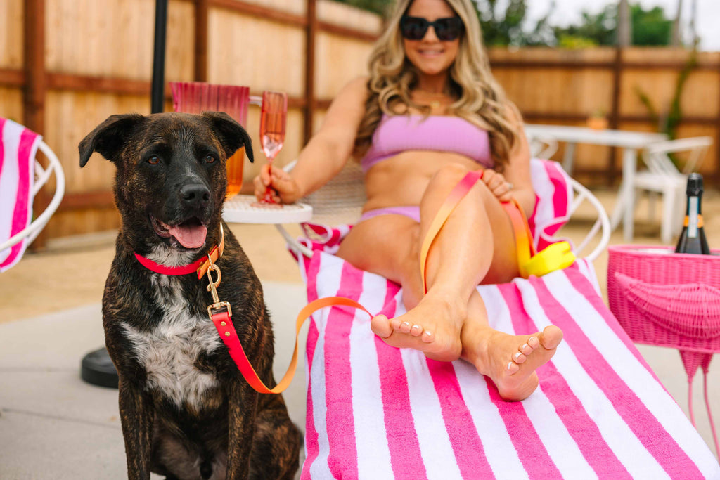 Katelin All Weather Waterproof Dog Leash | Easy Clean Leash