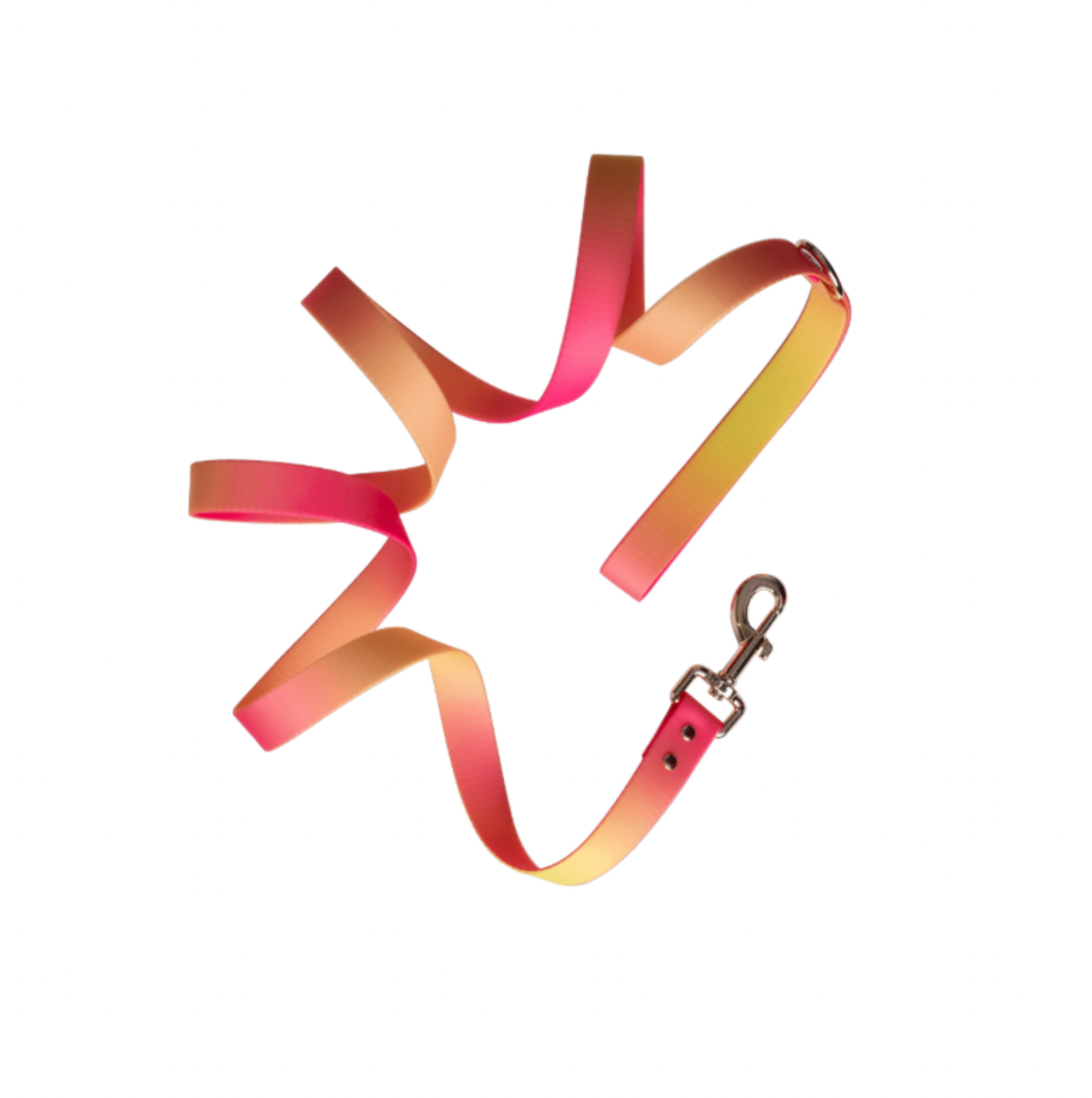 Katelin All Weather Waterproof Dog Leash | Easy Clean Leash