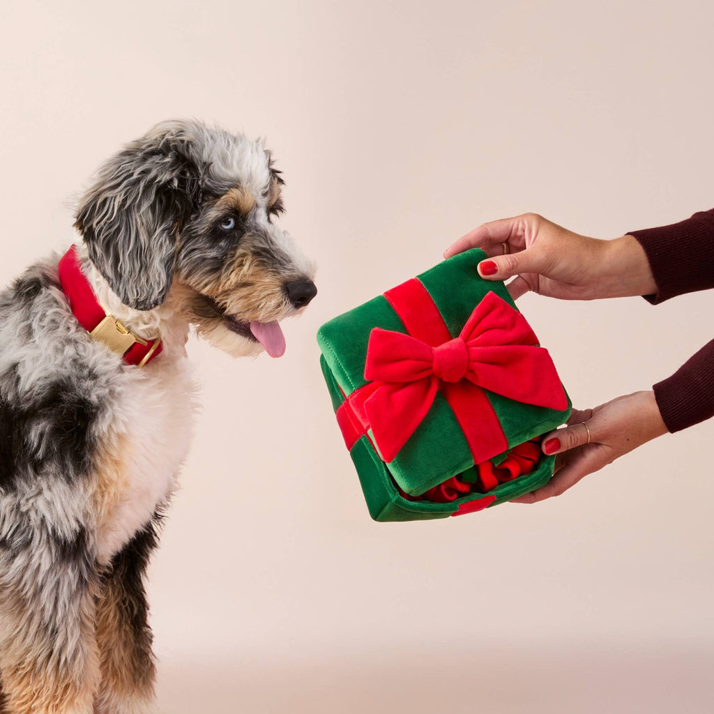 Holiday Present Interactive Snuffle Dog Toy