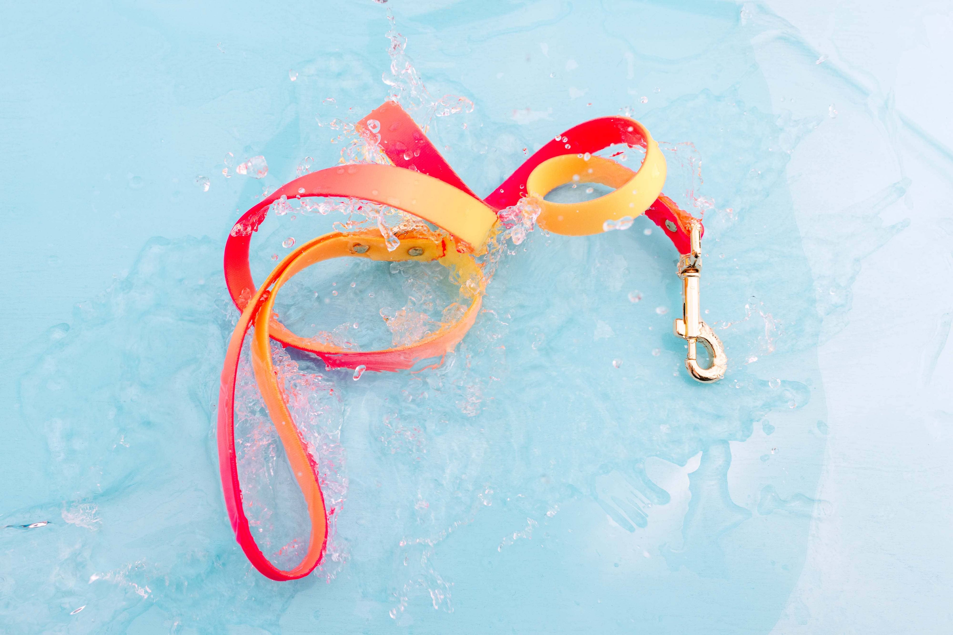 Katelin All Weather Waterproof Dog Leash | Easy Clean Leash