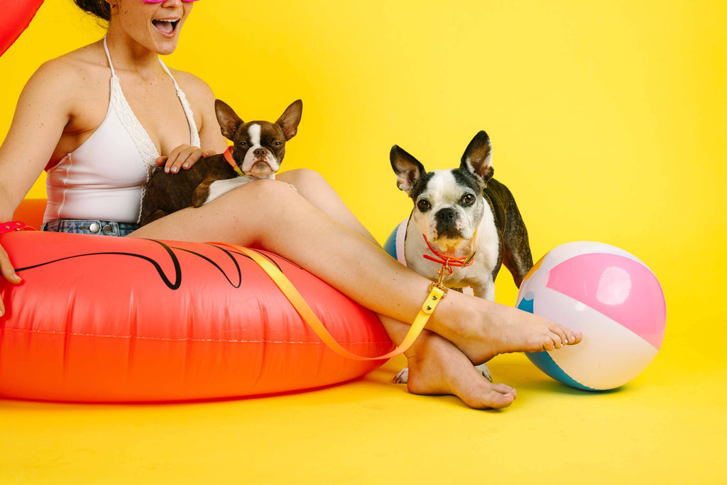 Katelin All Weather Waterproof Dog Leash | Easy Clean Leash