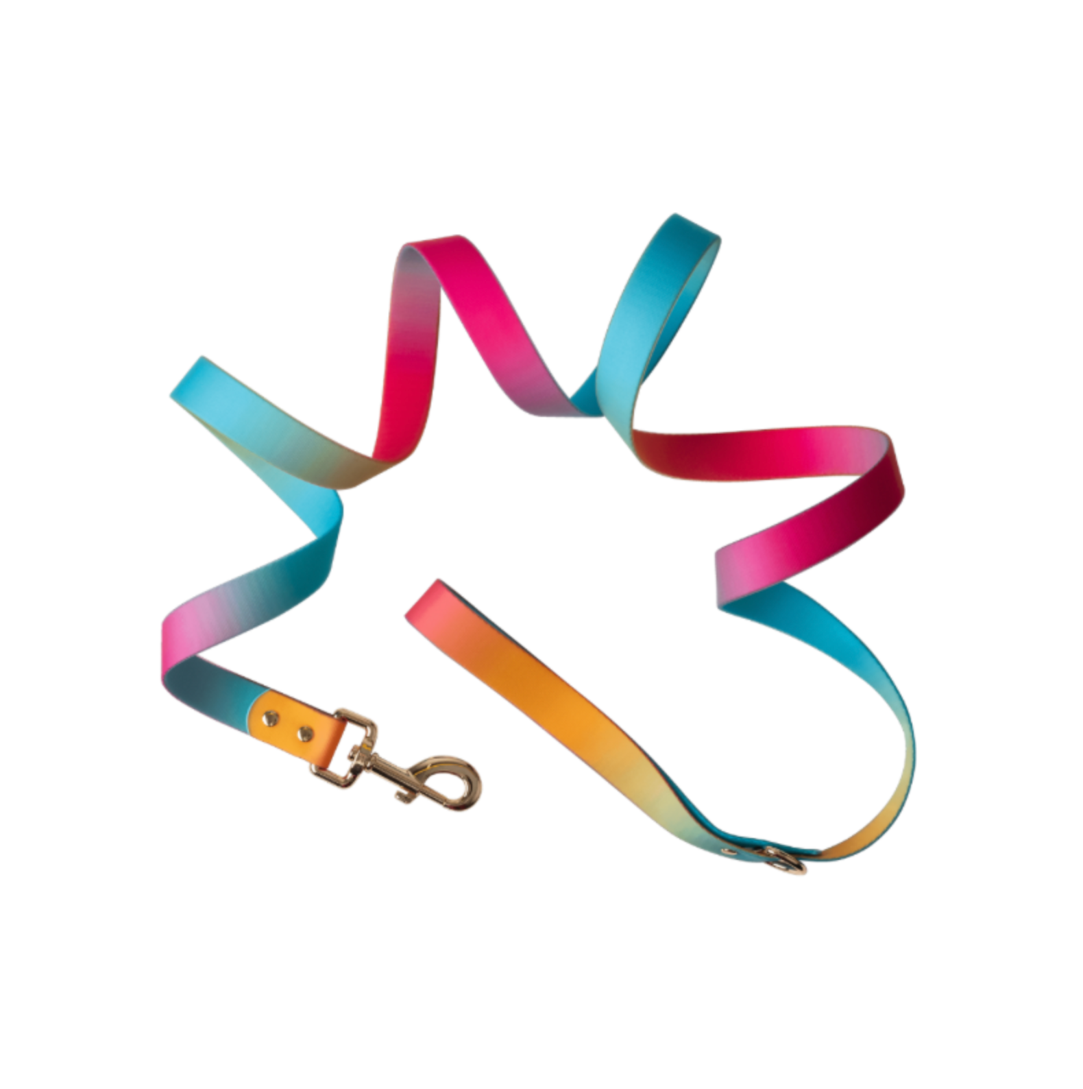 Pippa Waterproof Leash | Waterproof All Weather Dog Leash 