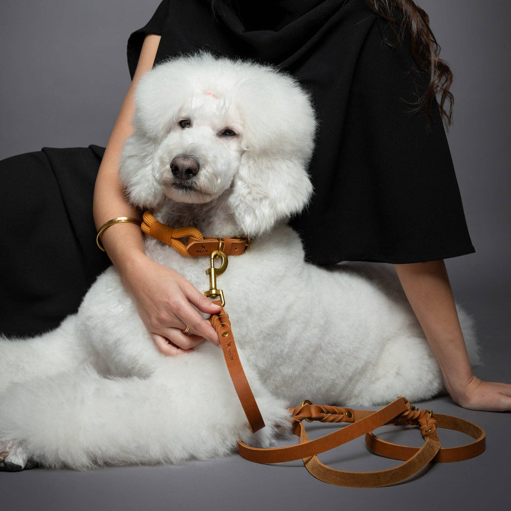 Premium Oil-Waxed Braided Leather Dog Leash - 3 Color Options