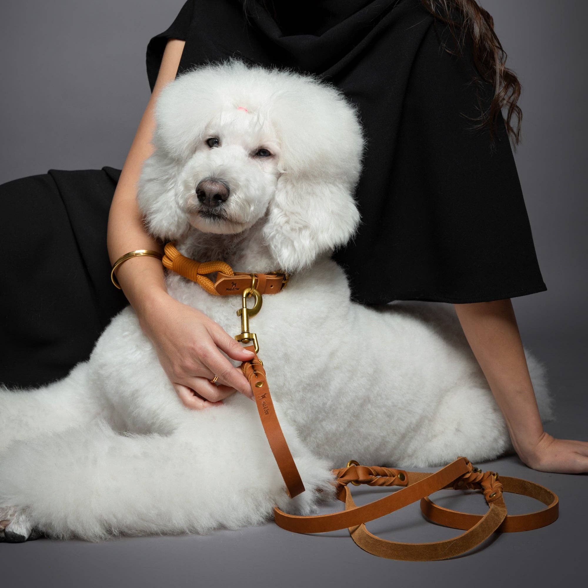 Premium Oil-Waxed Braided Leather Dog Leash - 3 Color Options