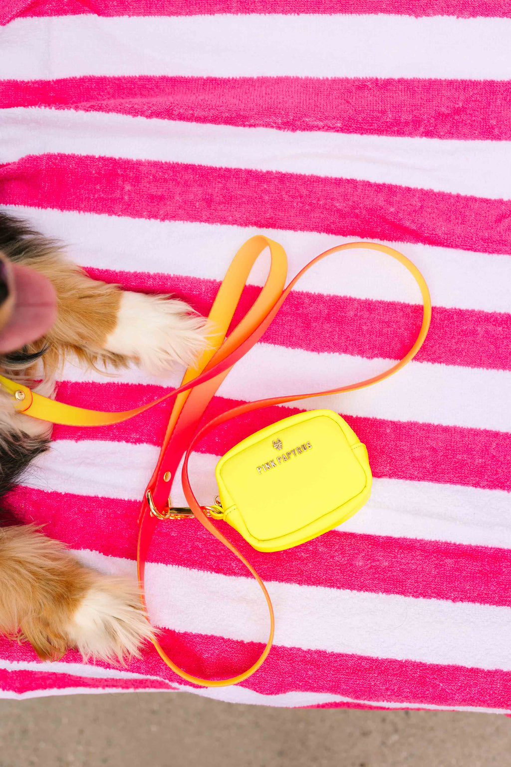 Katelin All Weather Waterproof Dog Leash | Easy Clean Leash