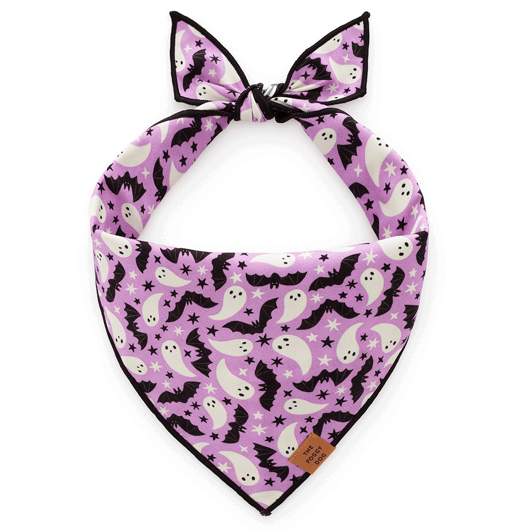 Spooky Season Reversible Dog Bandana - Glow in the dark