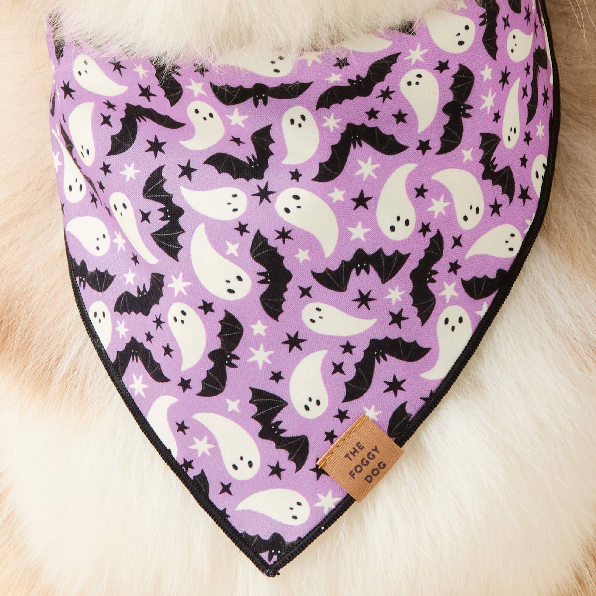 Spooky Season Reversible Dog Bandana - Glow in the dark