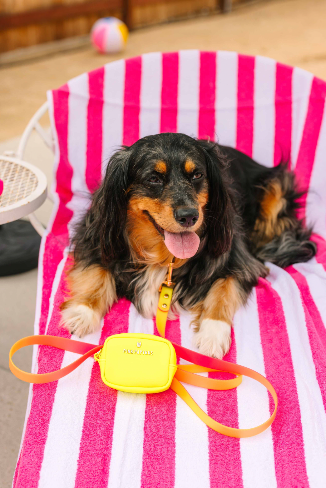 Kiki Neon Yellow Waste Bag Dispenser And Treat Pouch
