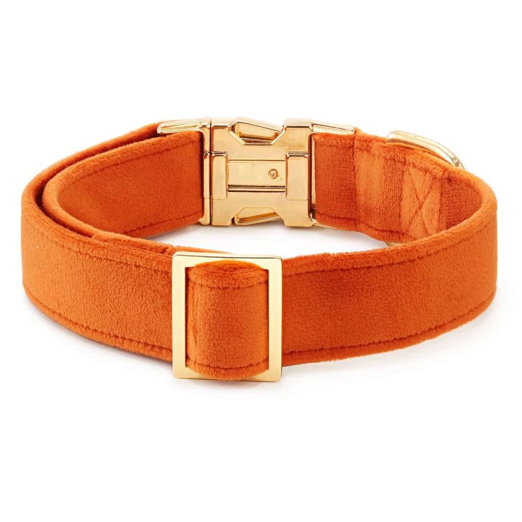 Pumpkin Velvet Dog Collar