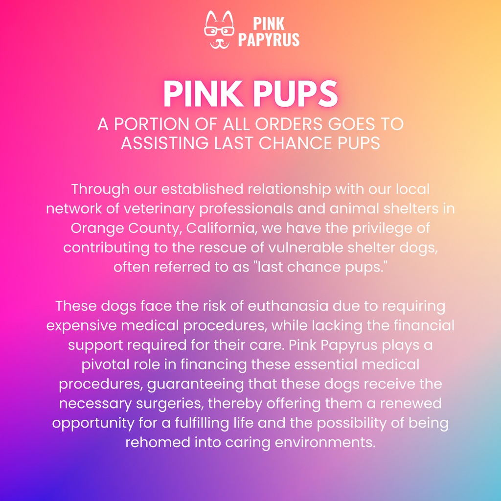 Pippa Waterproof Leash | Waterproof All Weather Dog Leash 