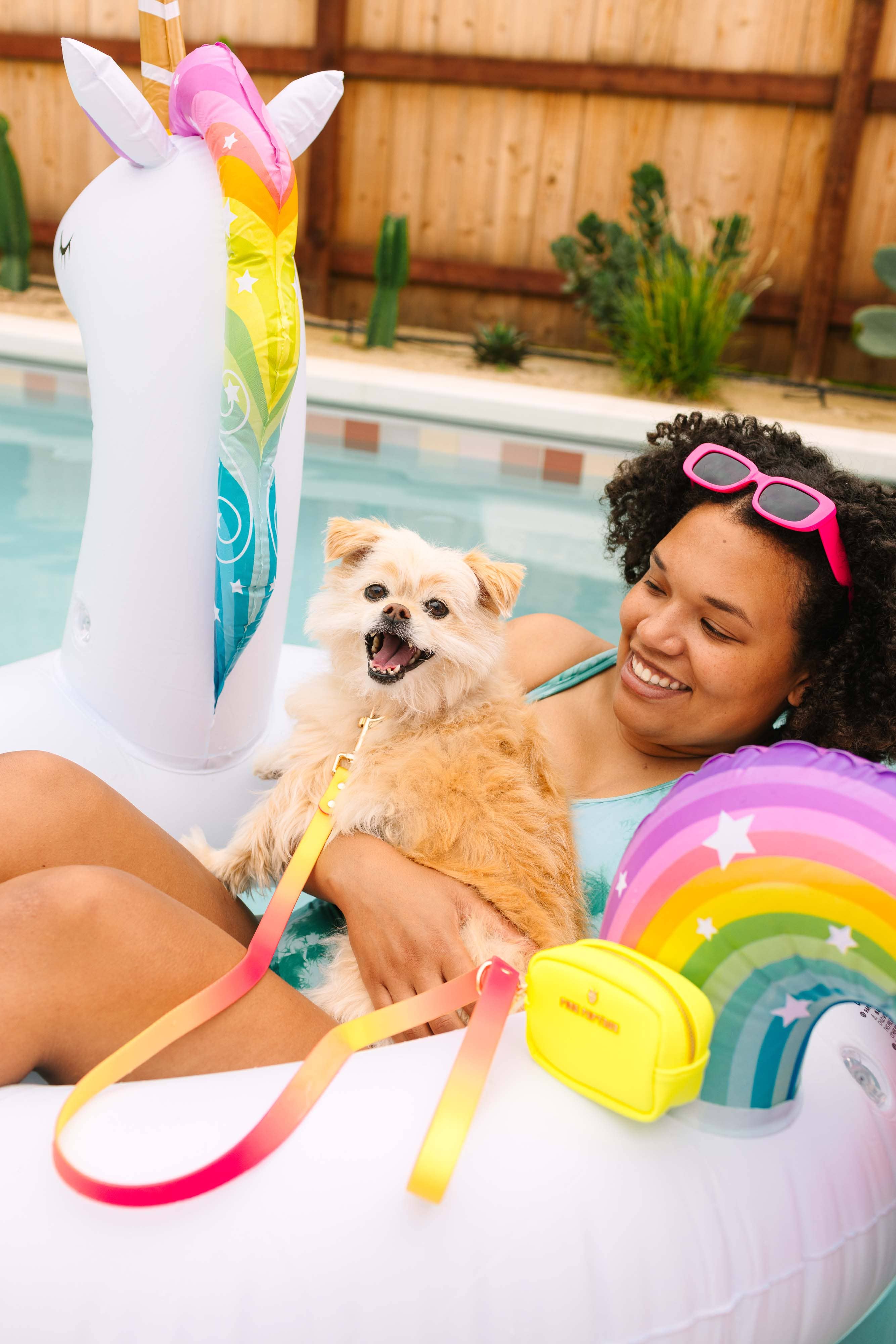 Katelin All Weather Waterproof Dog Leash | Easy Clean Leash