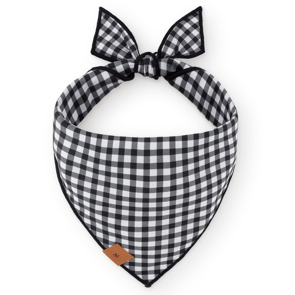 Spooky Season Reversible Dog Bandana - Glow in the dark