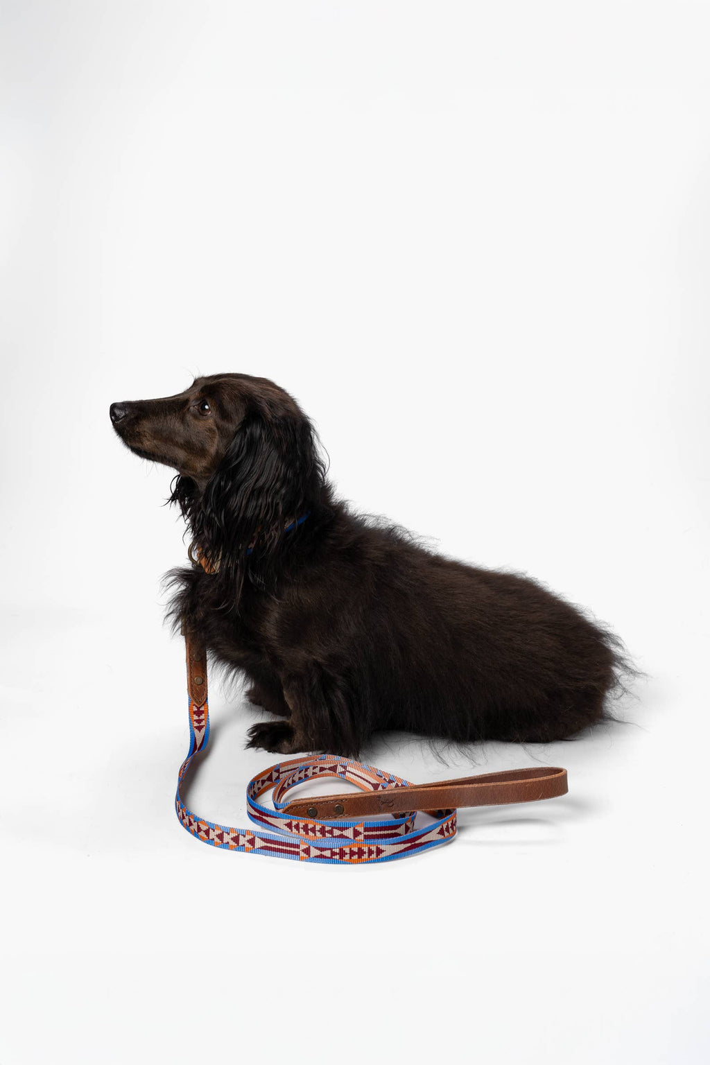 Pendleton Heritage Leash