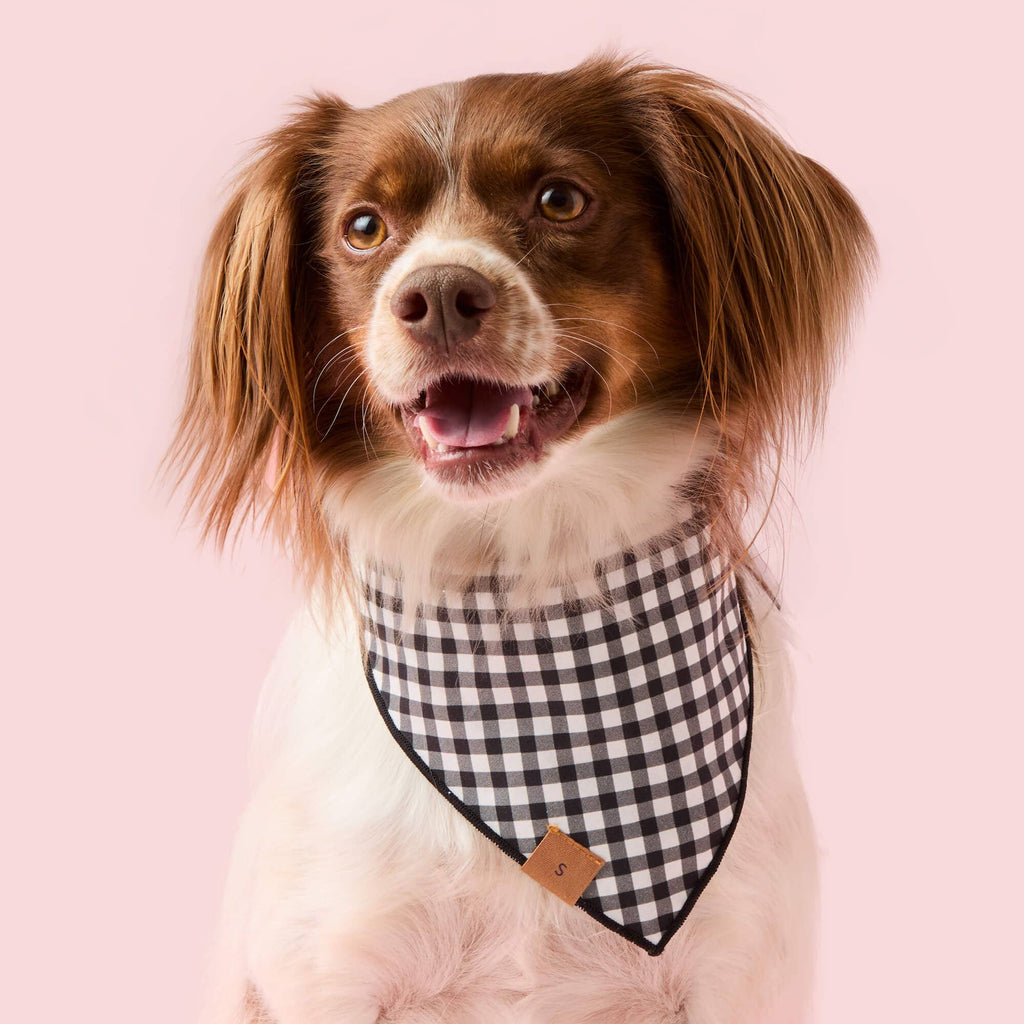 Spooky Season Reversible Dog Bandana - Glow in the dark