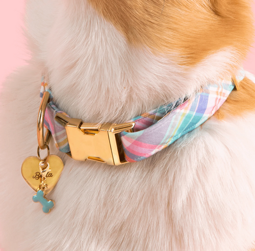 Blue Bone Collar Charm