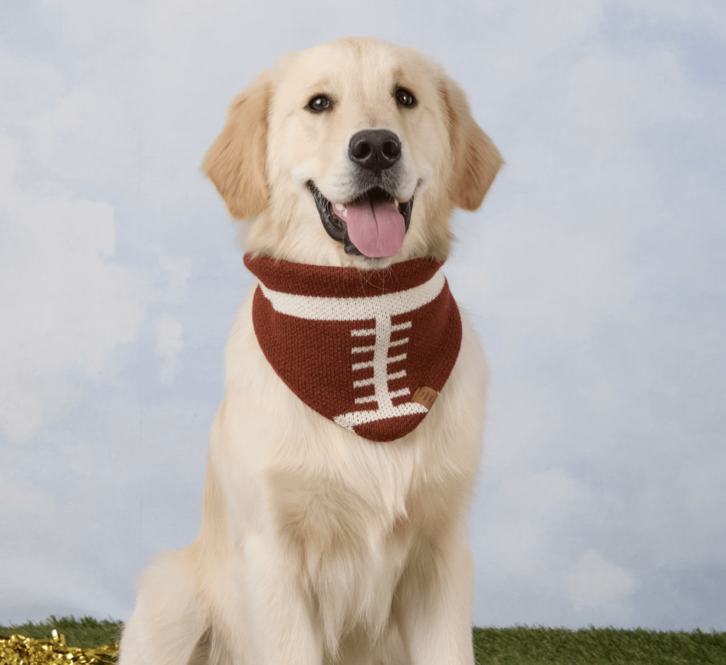 Football Knit Dog Bandana