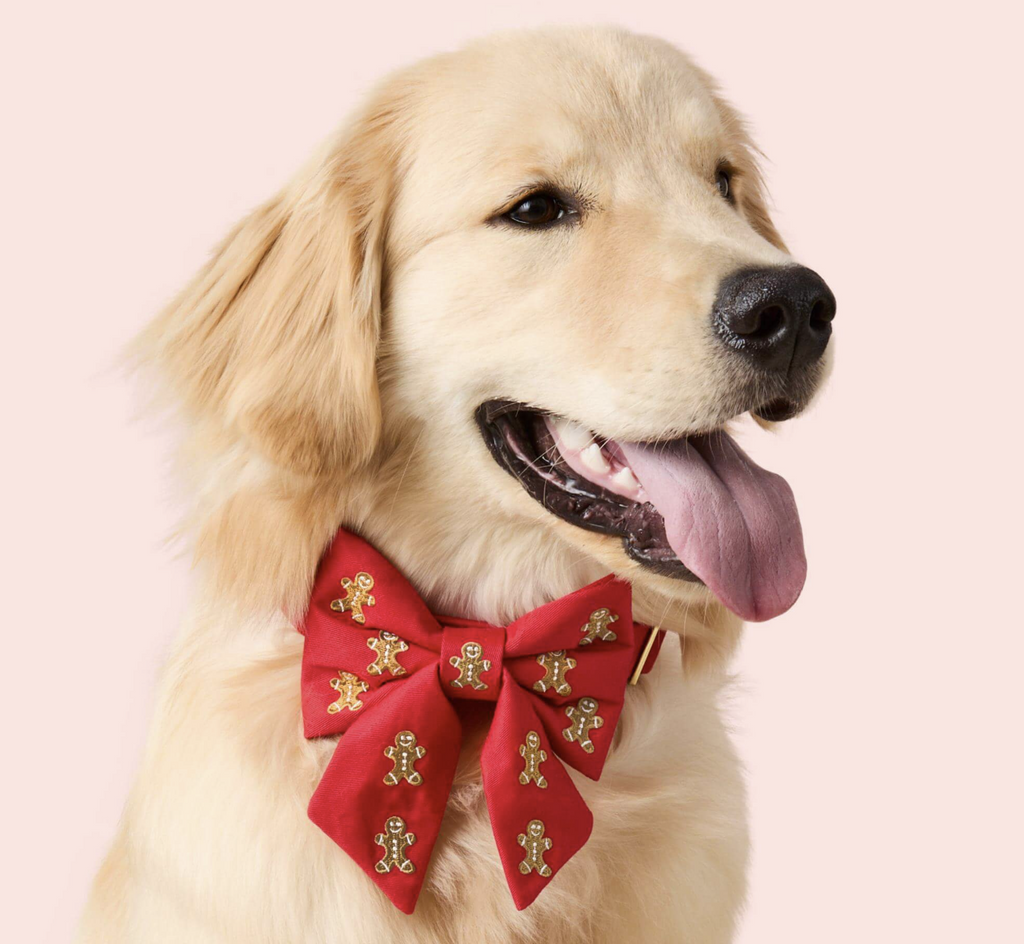 Gingerbread Man Embroidered Lady Dog Bow