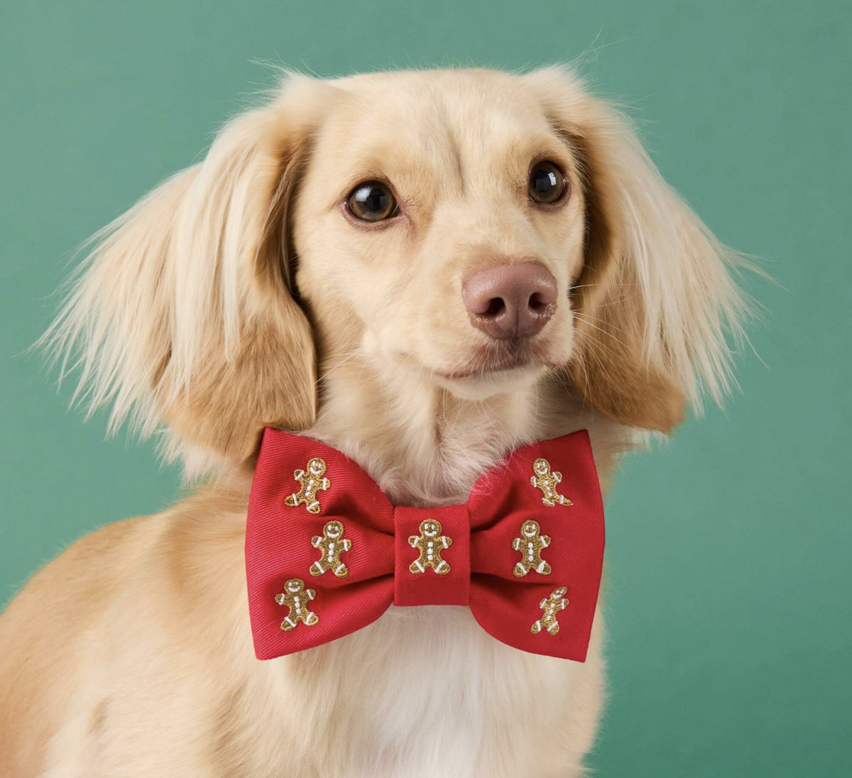 Gingerbread Man Embroidered Dog Bow Tie