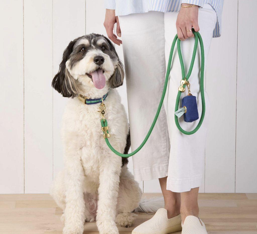 Grass Green Marine Rope Dog Leash
