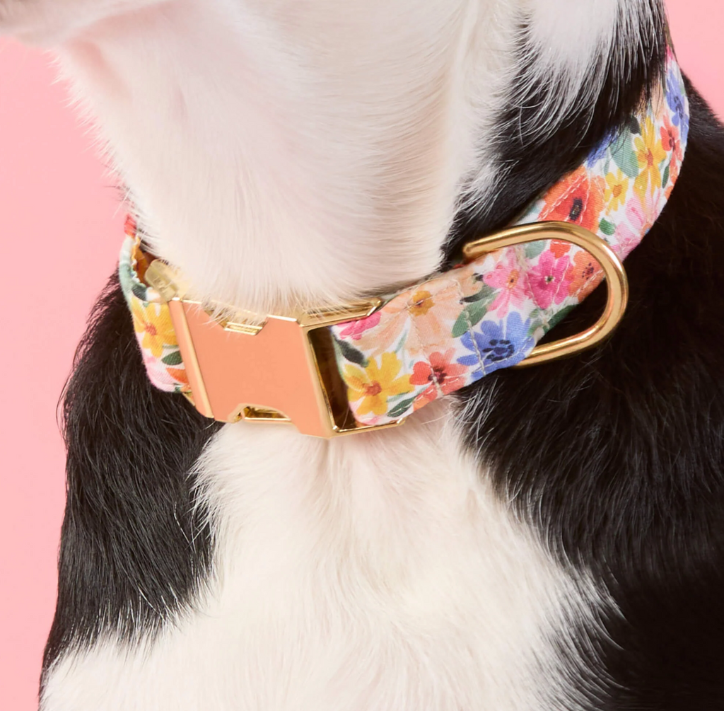 Margaux Dog Collar