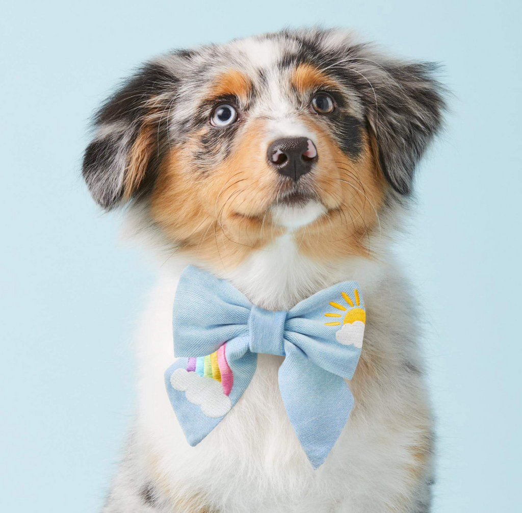 Sunshine and Rainbows Embroidered Lady Dog Bow