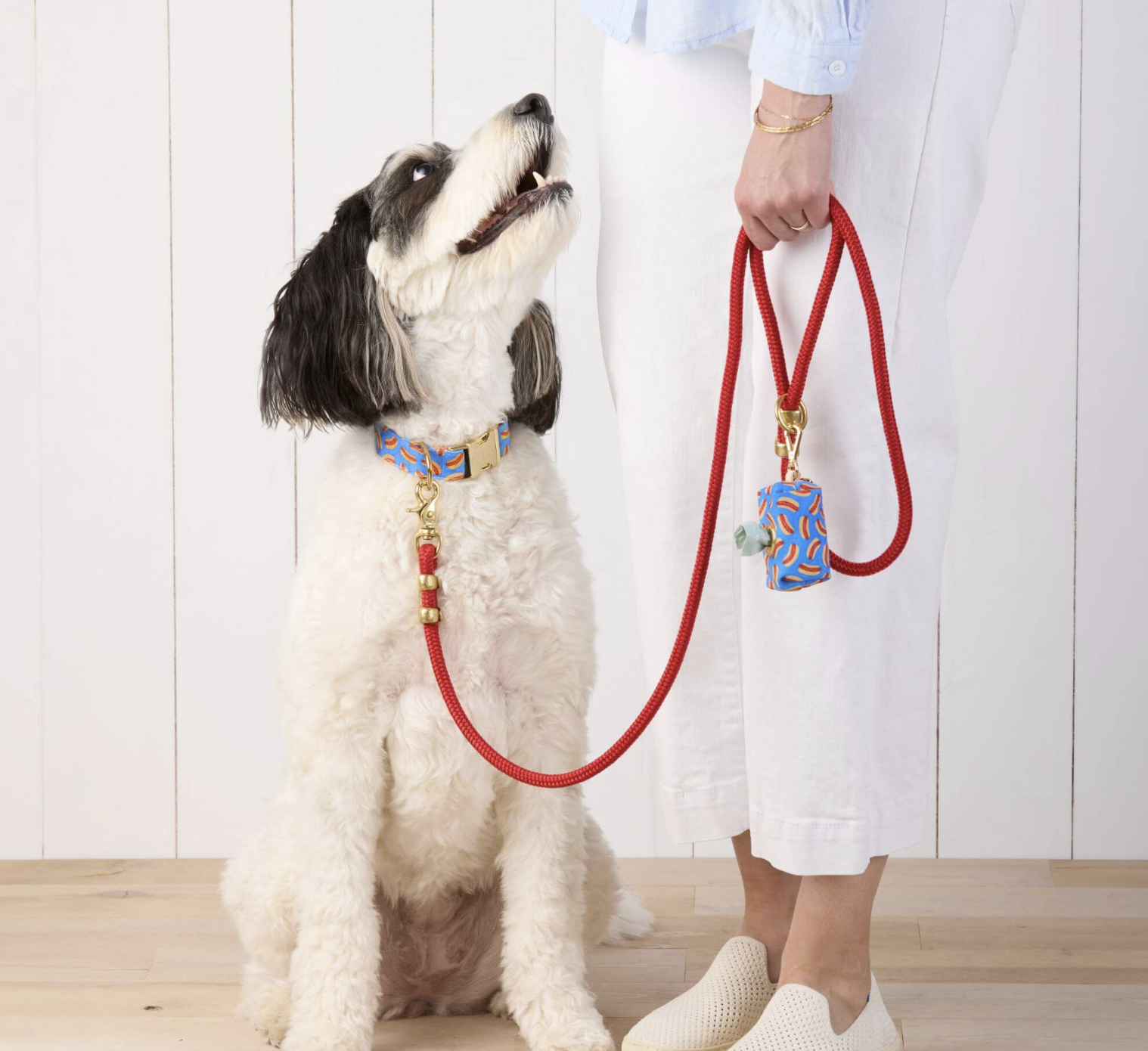 Ruby Marine Rope Dog Leash