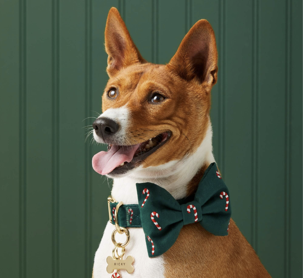 Candy Canes Embroidered Dog Holiday Bow Tie