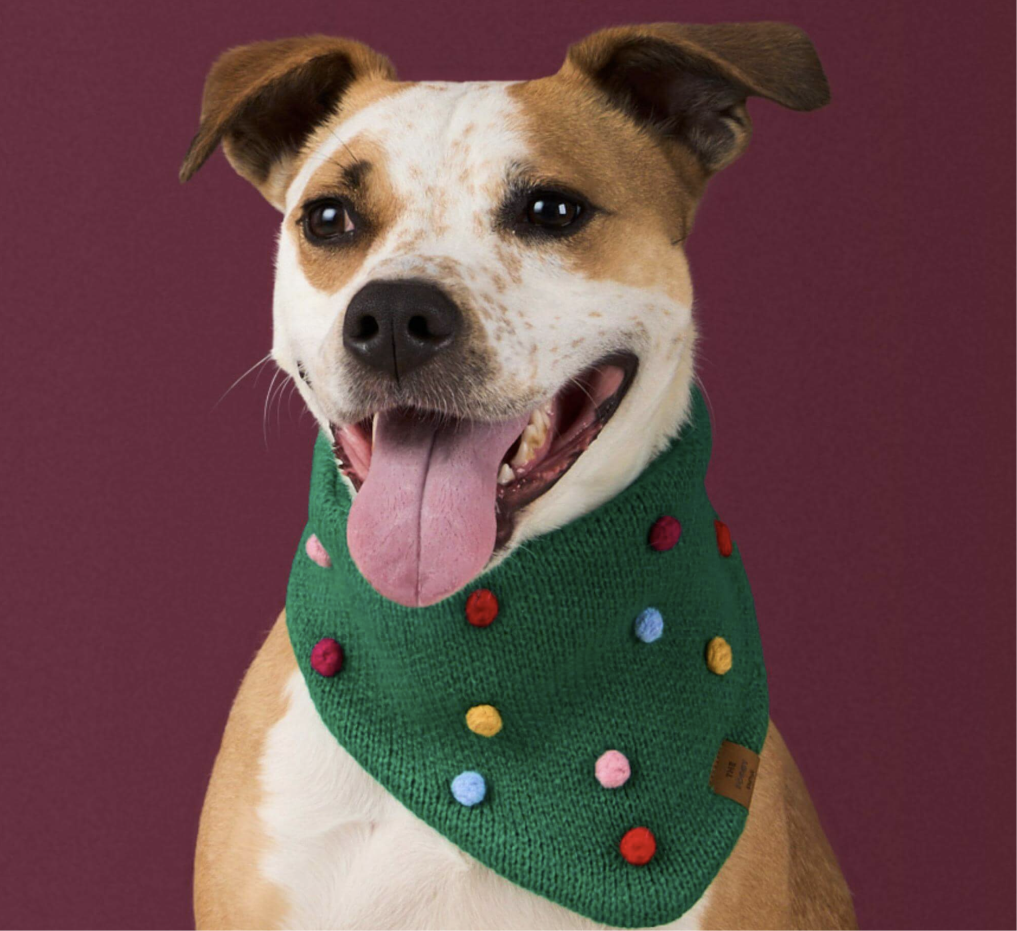 Holiday Bobble Knit Dog Bandana