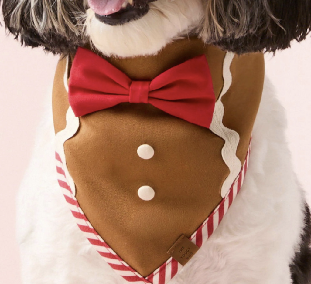 Sugar and Spice Dog Bandana