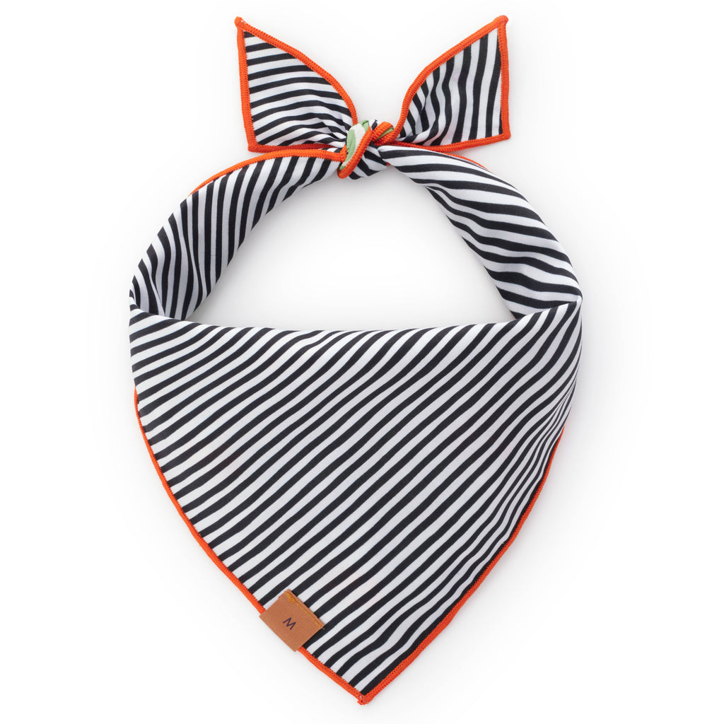 Spellbound Reversible Dog Bandana - Glow in the Dark