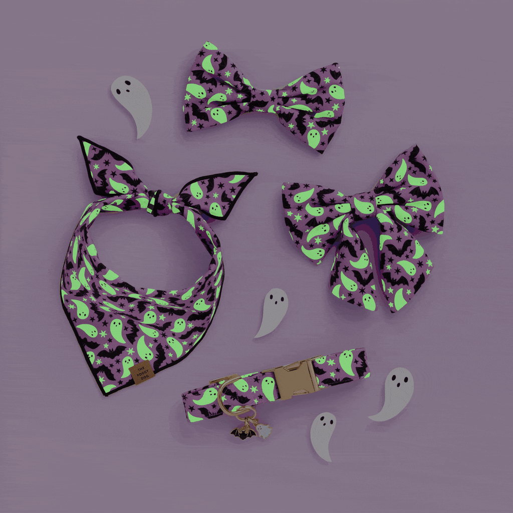Spooky Season Reversible Dog Bandana - Glow in the dark