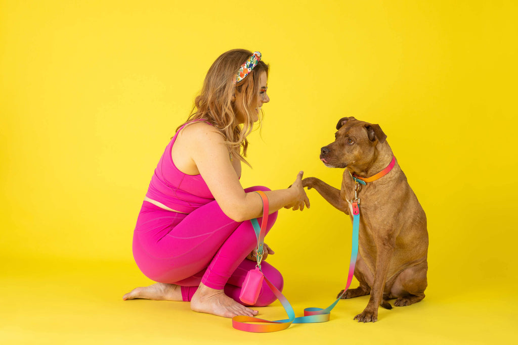 Pippa Waterproof Dog Collar | Swim Dog Collar