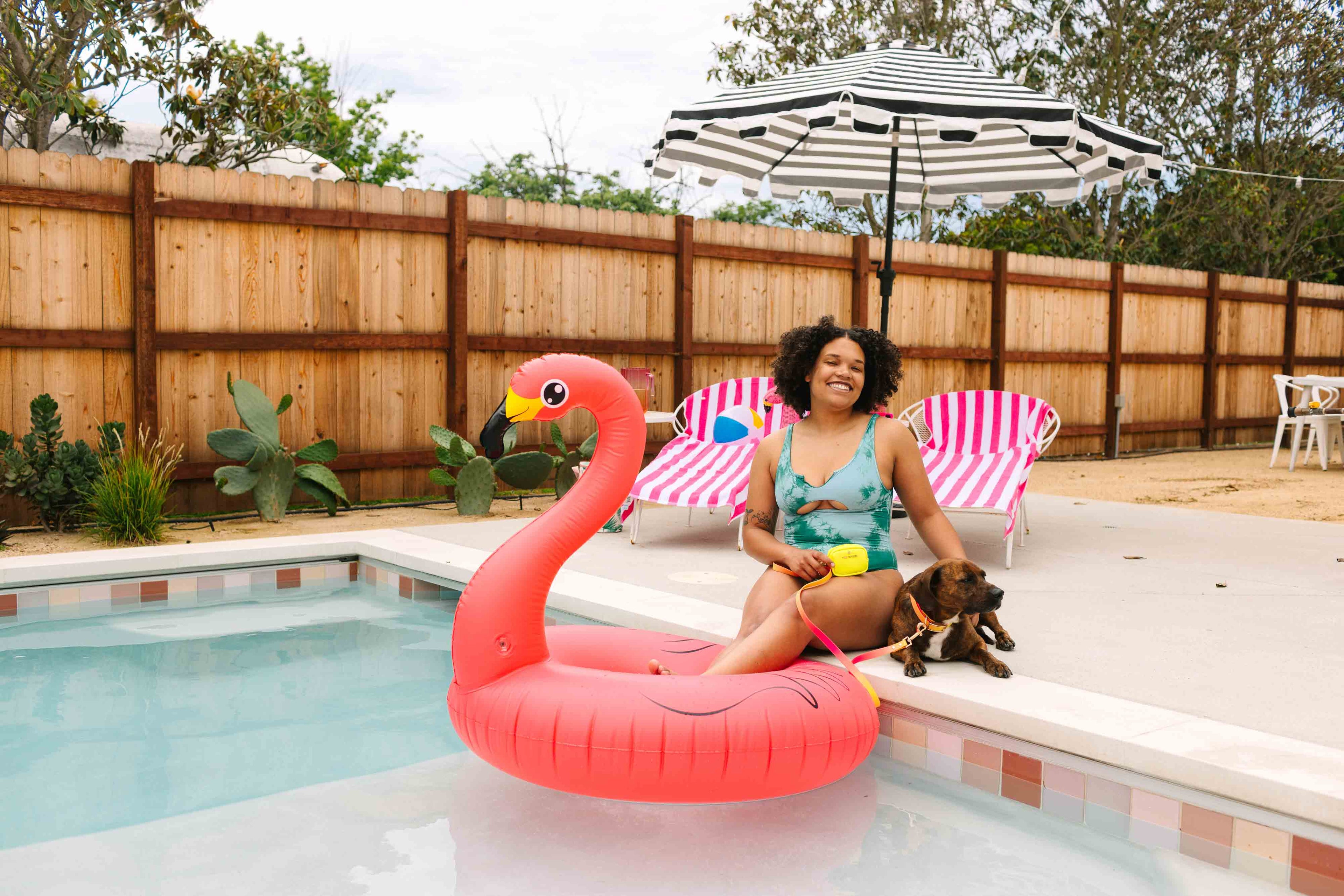 Katelin All Weather Waterproof Easy Clean Dog Collar