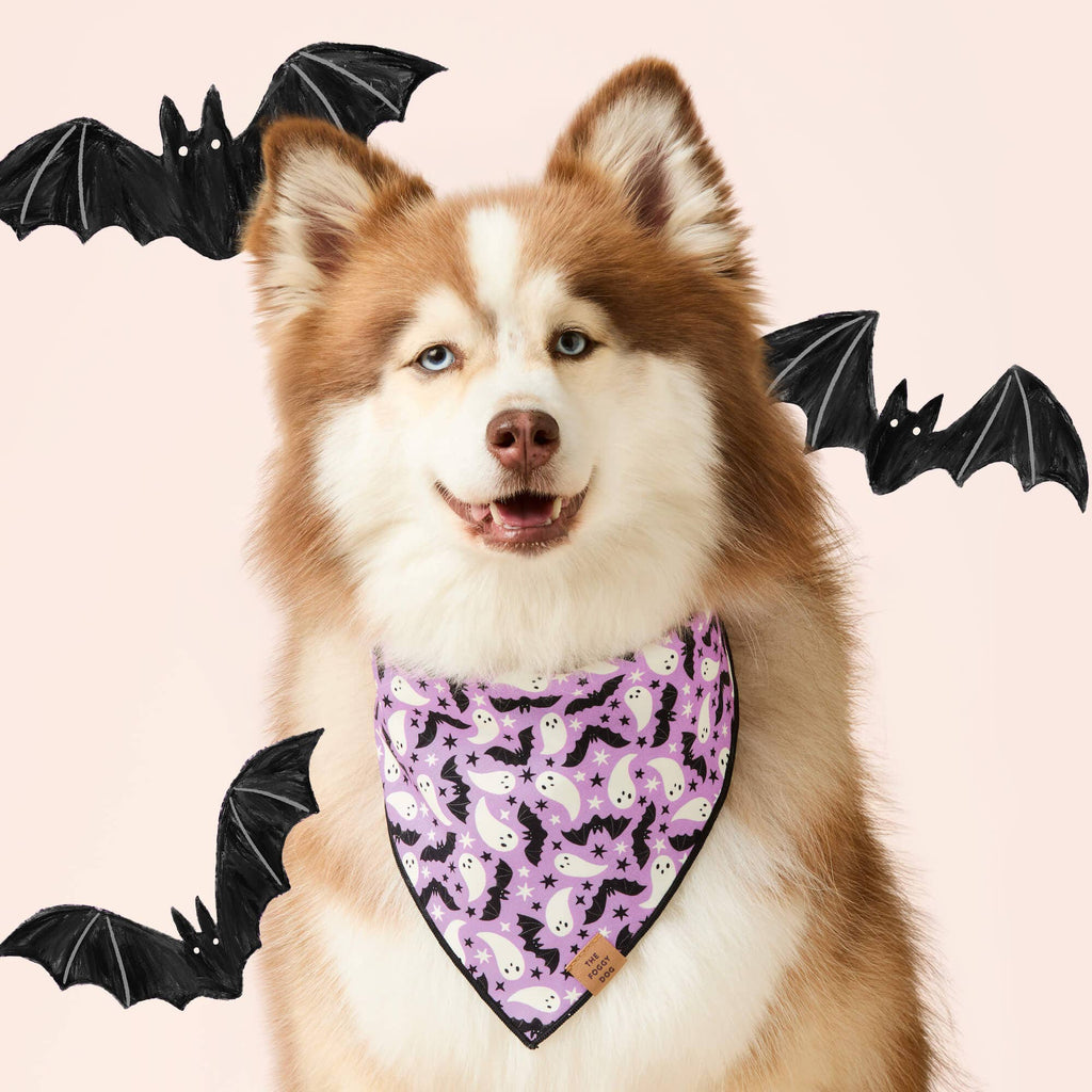 Spooky Season Reversible Dog Bandana - Glow in the dark