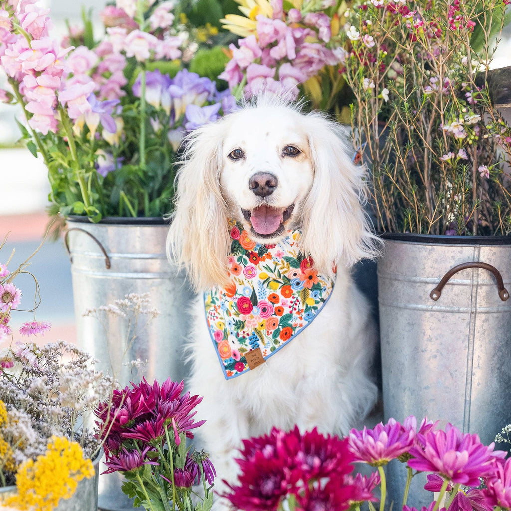 Garden Party Dog Bandana