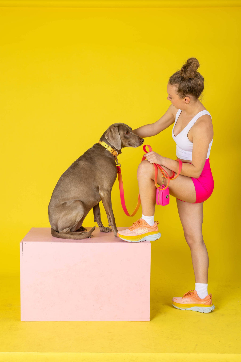 Katelin All Weather Waterproof Easy Clean Dog Collar