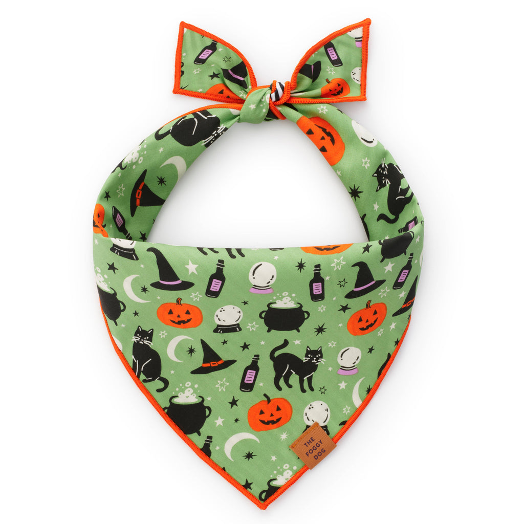 Spellbound Reversible Dog Bandana - Glow in the Dark