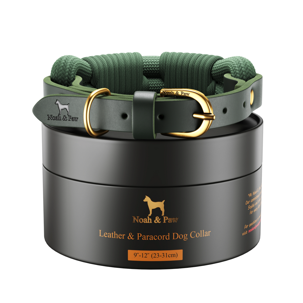 Dog Collar, Genuine Leather Combined with Paracord - 4 Color Options