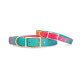 Pippa Waterproof Dog Collar | Swim Dog Collar