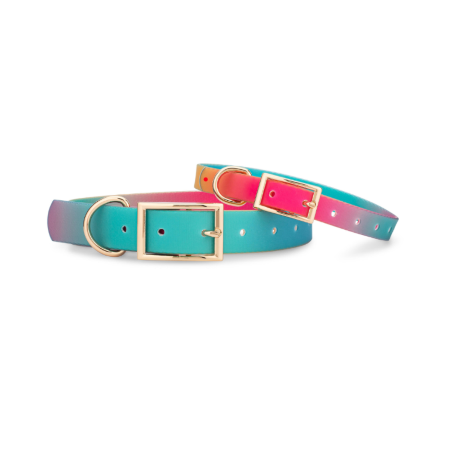 Pippa Waterproof Dog Collar | Swim Dog Collar