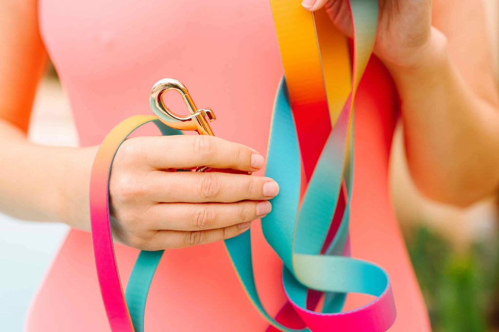 Pippa Waterproof Leash | Waterproof All Weather Dog Leash 