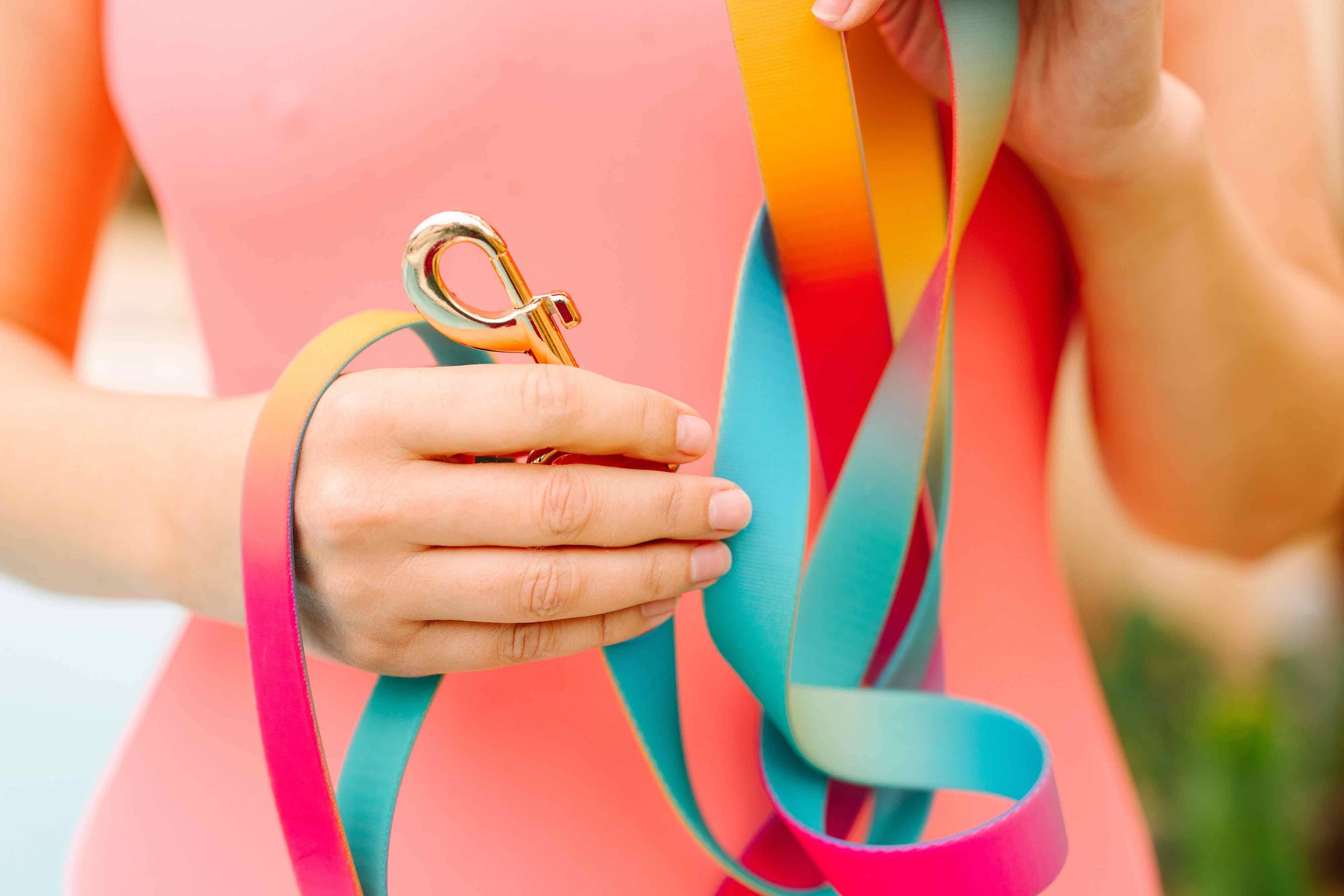 Pippa Waterproof Leash | Waterproof All Weather Dog Leash 