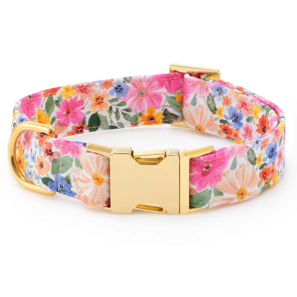 Margaux Dog Collar