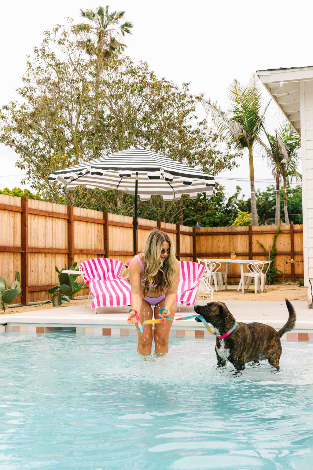 Pippa Waterproof Dog Collar | Swim Dog Collar