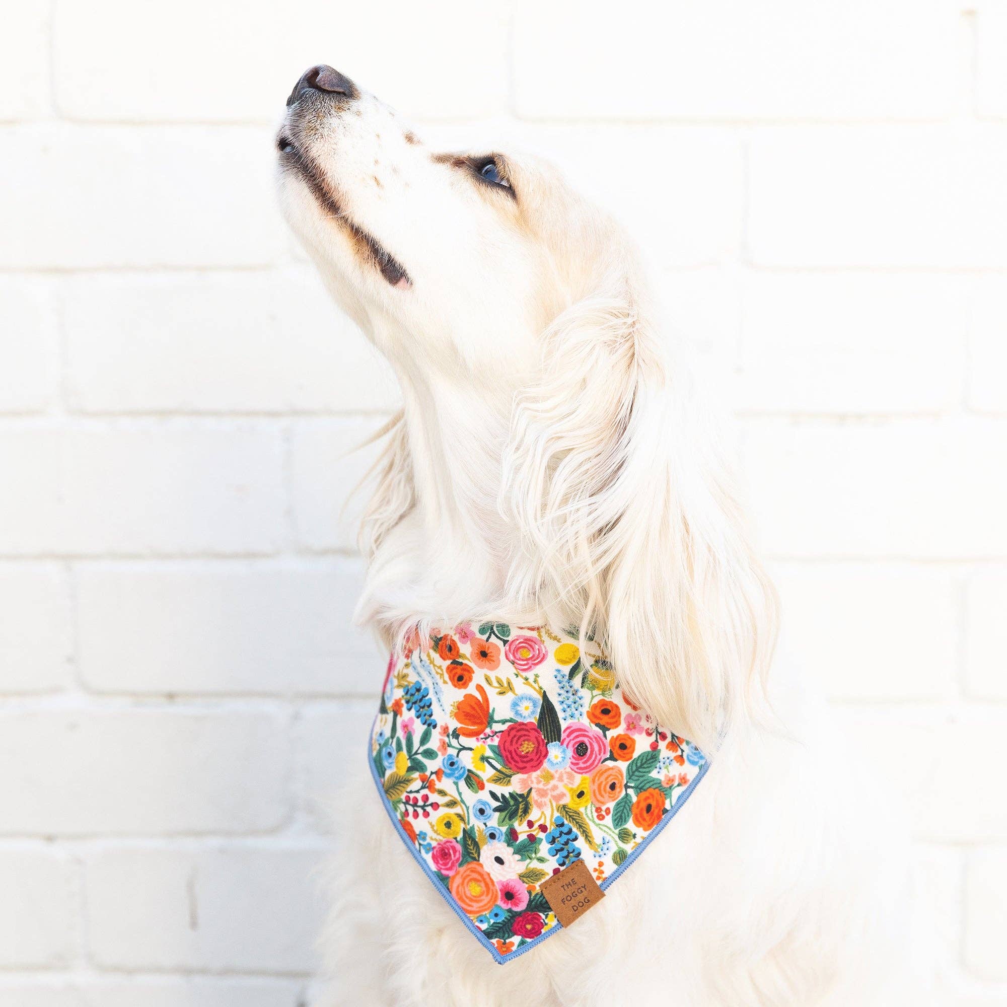 Garden Party Dog Bandana